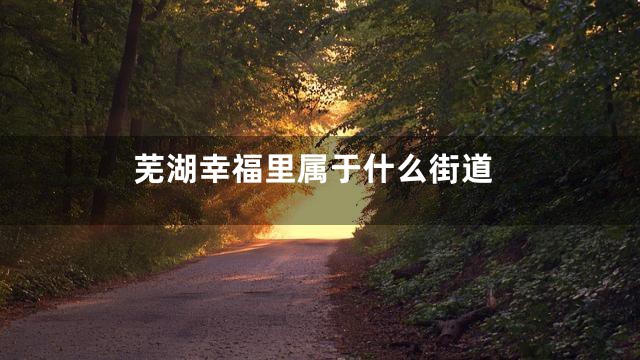 芜湖幸福里属于什么街道