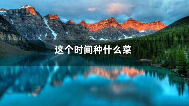 这个时间种什么菜