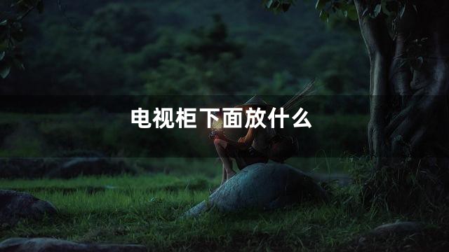 电视柜下面放什么