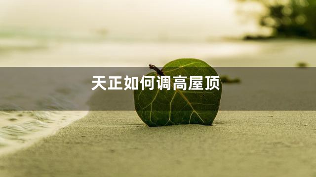 天正如何调高屋顶