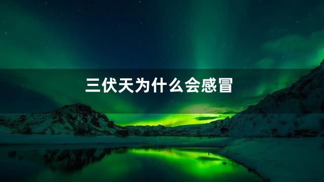 三伏天为什么会感冒