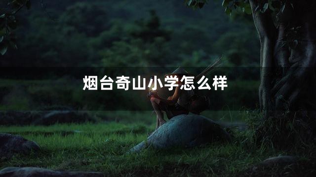 烟台奇山小学怎么样