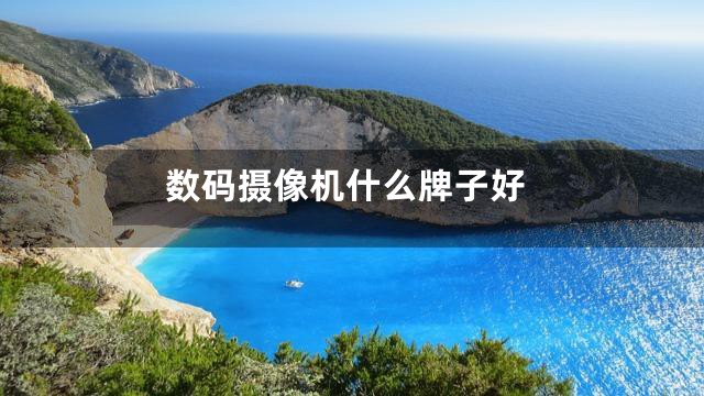 数码摄像机什么牌子好