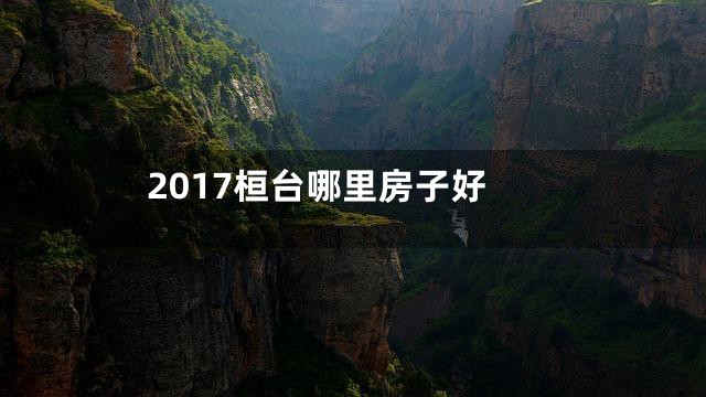 2017桓台哪里房子好