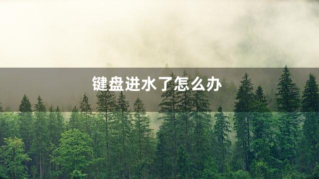 键盘进水了怎么办