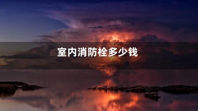 室内消防栓多少钱