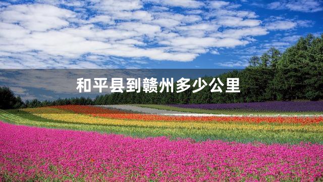 和平县到赣州多少公里