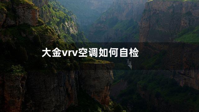 大金vrv空调如何自检