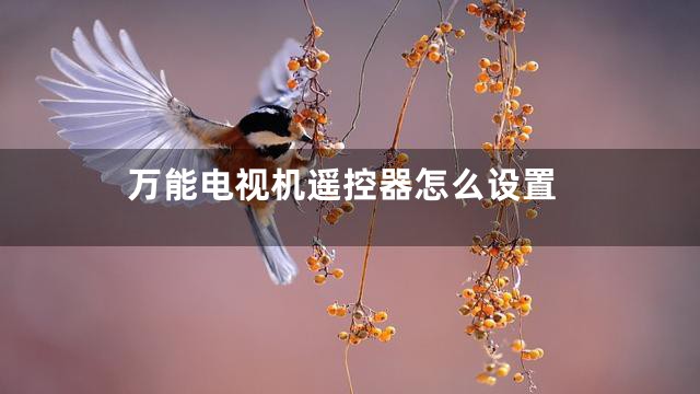 万能电视机遥控器怎么设置