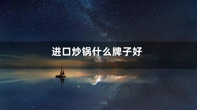 进口炒锅什么牌子好