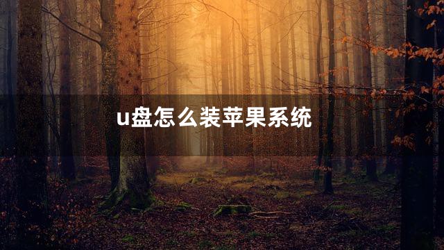 u盘怎么装苹果系统