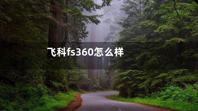 飞科fs360怎么样