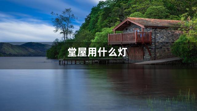 堂屋用什么灯