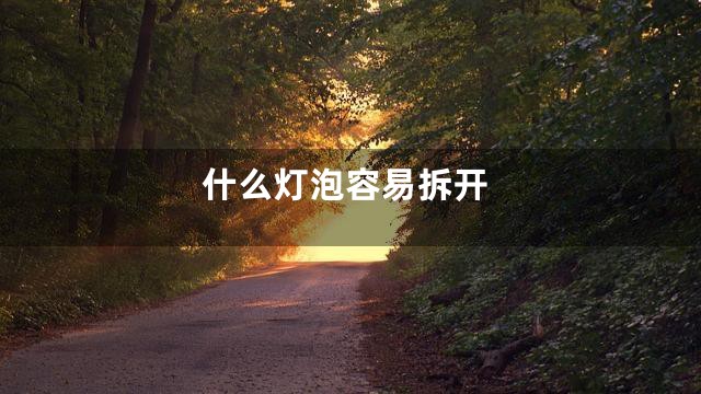 什么灯泡容易拆开