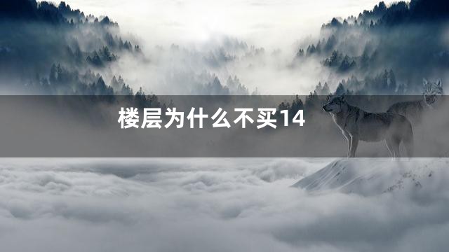 楼层为什么不买14