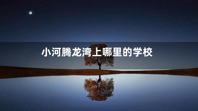 小河腾龙湾上哪里的学校