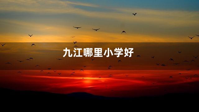 九江哪里小学好