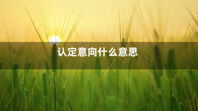 认定意向什么意思