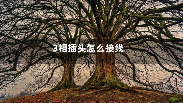 3相插头怎么接线