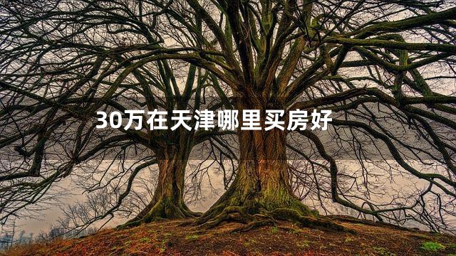 30万在天津哪里买房好