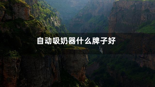 自动吸奶器什么牌子好