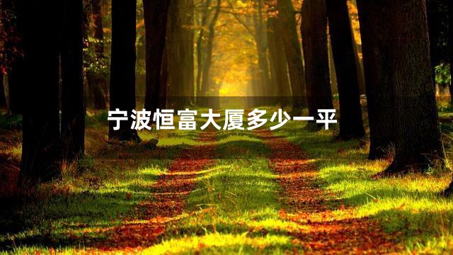 宁波恒富大厦多少一平