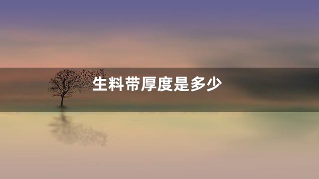 生料带厚度是多少