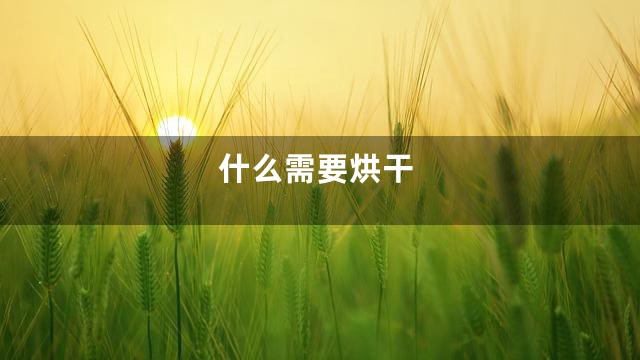 什么需要烘干