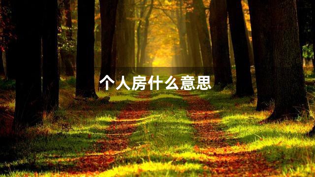 个人房什么意思