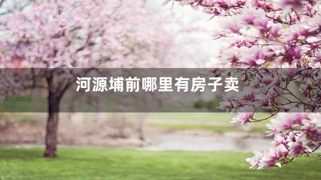 河源埔前哪里有房子卖