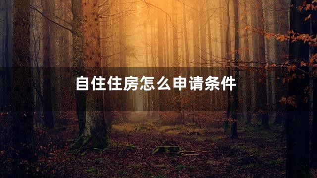 自住住房怎么申请条件