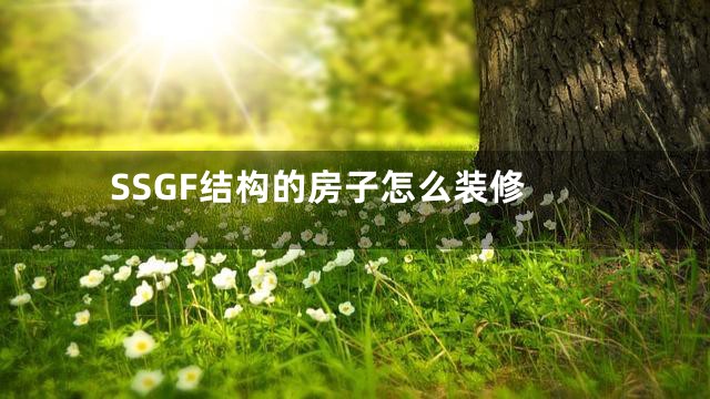 SSGF结构的房子怎么装修