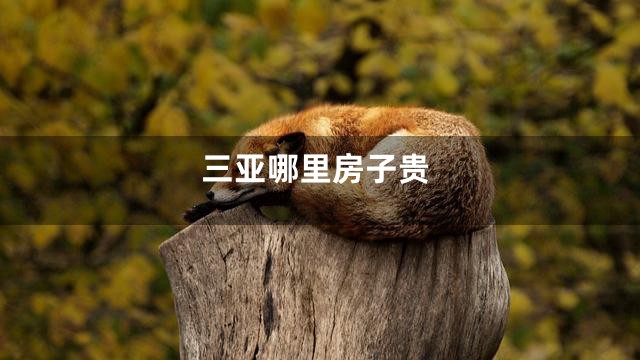 三亚哪里房子贵