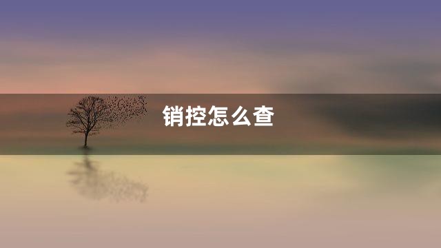 销控怎么查
