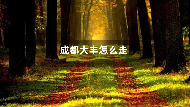 成都大丰怎么走