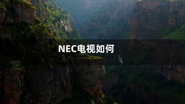 NEC电视如何