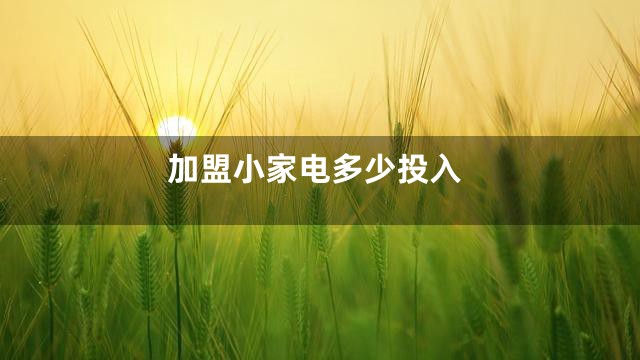加盟小家电多少投入