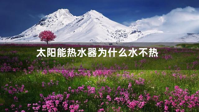 太阳能热水器为什么水不热