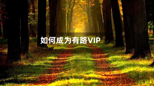 如何成为有路VIP