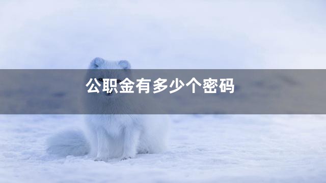 公职金有多少个密码