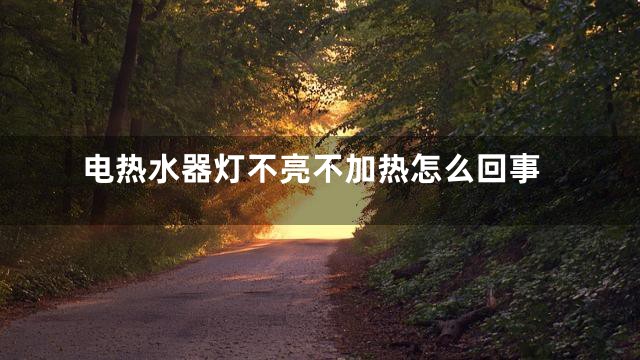 电热水器灯不亮不加热怎么回事