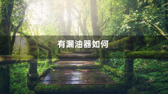 有漏油器如何