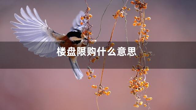 楼盘限购什么意思