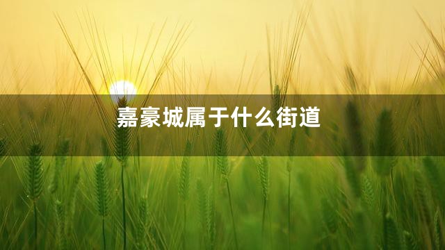 嘉豪城属于什么街道