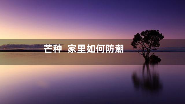 芒种  家里如何防潮