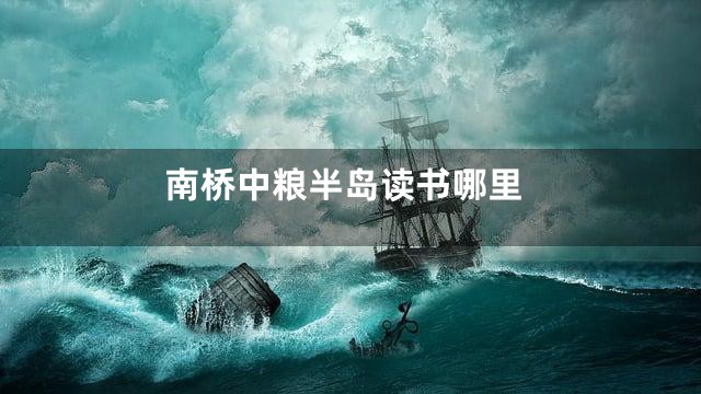 南桥中粮半岛读书哪里