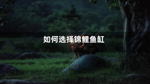 如何选择锦鲤鱼缸