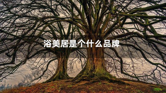 浴美居是个什么品牌