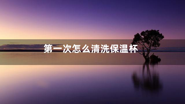 第一次怎么清洗保温杯