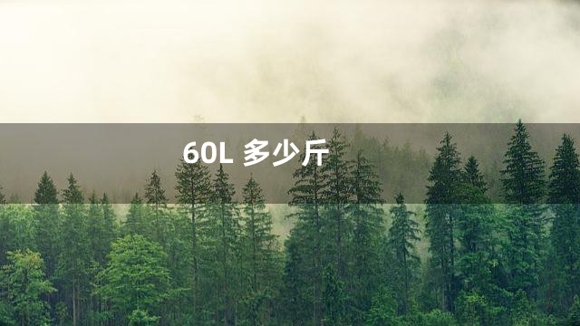 60L 多少斤